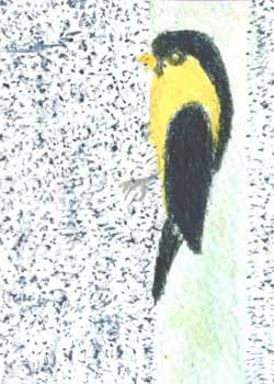 "Goldfinch On The Feeder" by Joan Stackpole, Monroe WI - Watercolor & Colored Pencil